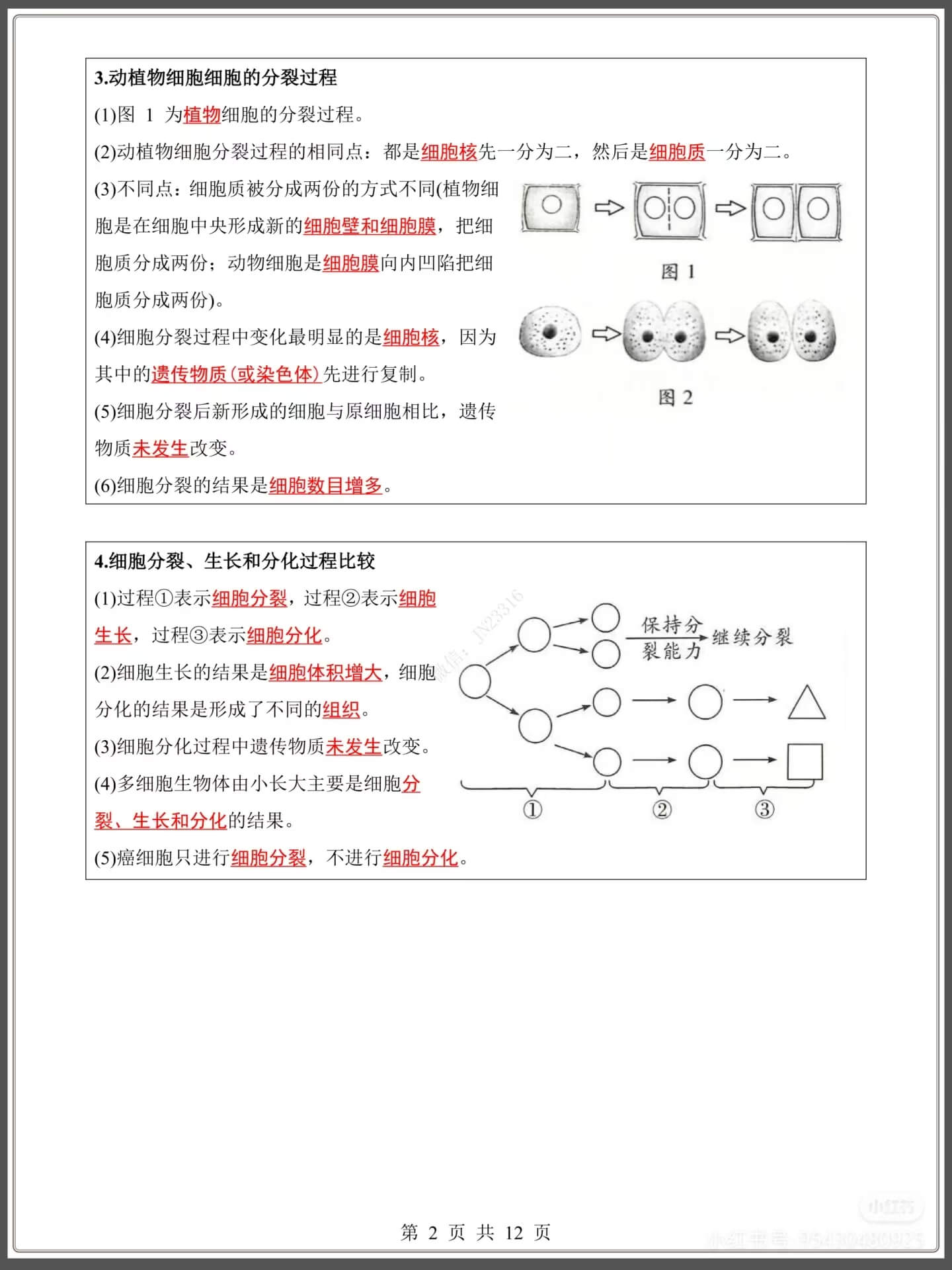 图片[2]燃梦学堂-中小学电子版资料下载：课件/试卷/教案/知识点全覆盖中考生物识图题精编27道题燃梦学堂-中小学电子版资料下载：课件/试卷/教案/知识点全覆盖燃梦学堂